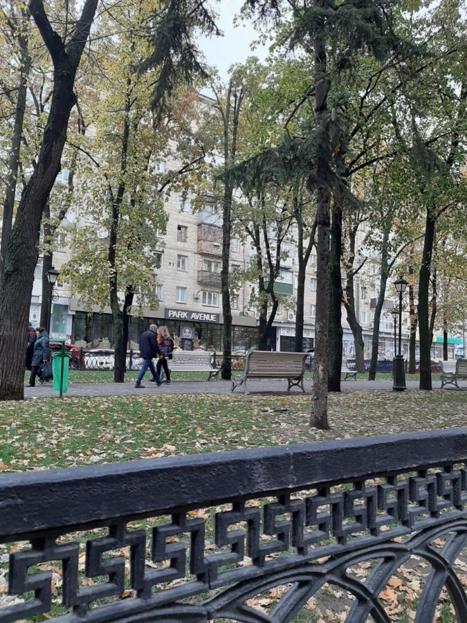 Marin в самом центре *